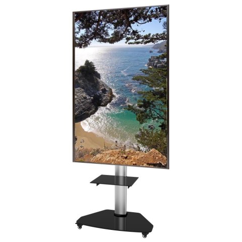 Stojak Mobilny LCD/LED 37-70cali, 40kg PIVOT