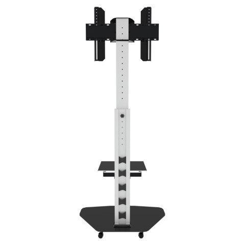 Stojak Mobilny LCD/LED 37-70cali, 40kg PIVOT