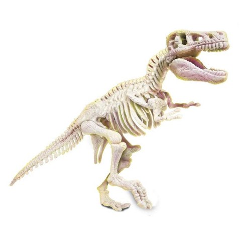 Zestaw Skamieniałości - T-Rex Zestaw Skamieniałości - T-Rex