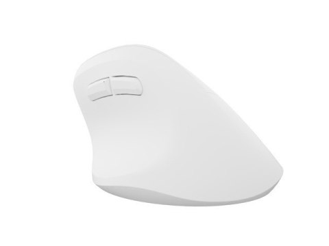 Mysz bezprzewodowa wertykalna Crake 2 BT 5.2 + 2.4GHz biała