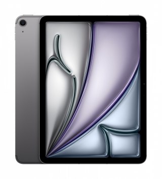 IPad Air 11 cali WiFi + Cellular 1TB Szary