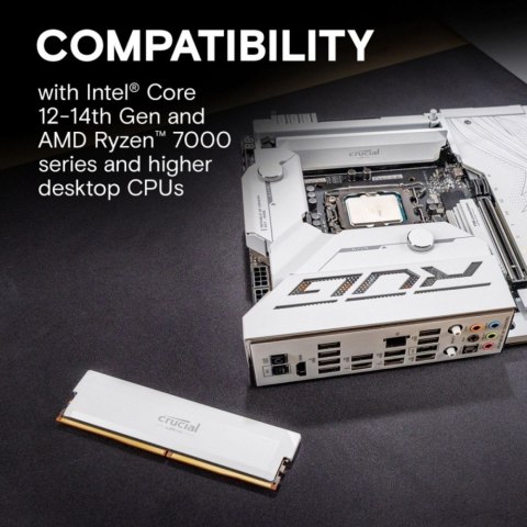 Pamięć DDR5 Pro OC 16/6400(1*16GB) CL38 biała