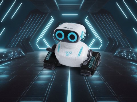 Robot zdalnie sterowany RC Robot Rob-E Robot zdalnie sterowany RC Robot Rob-E