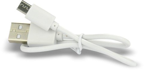 Akumulatorek 16340 / R-CR123 3,7V everActive 700mAh (1 szt.) z zabezpieczeniem Akumulatorek 16340 / R-CR123 3,7V everActive 700mAh (1 szt.) z zabezpieczeniem