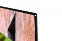 Telewizor LED 32 cale 32WV2E63DG