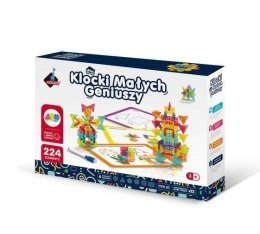 Klocki Geometryczne Śnieżynki 224 elementów