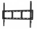 Monitor 75 cali TE7513A-B1AG INFRARED,40pkt,IPS,4K,7H,450cd/m2, WiFi,USB, ANDROID 14, Google EDLA,2x20W, UCHWYT CIENNY