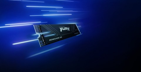 Dysk SSD Renegade G5 1TB NVMe 5.0 M.2 2280 14200/11000MB/s Dysk SSD Renegade G5 1TB NVMe 5.0 M.2 2280 14200/11000MB/s