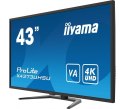 Monitor wielkoformatowy 43 cale X4373UHSU-B1 4K, VA, 2xHDMI, DP, mDP, 3ms, 2x7W, USBx4 Monitor wielkoformatowy 43 cale X4373UHSU-B1 4K, VA, 2xHDMI, DP, mDP, 3ms, 2x7W, USBx4