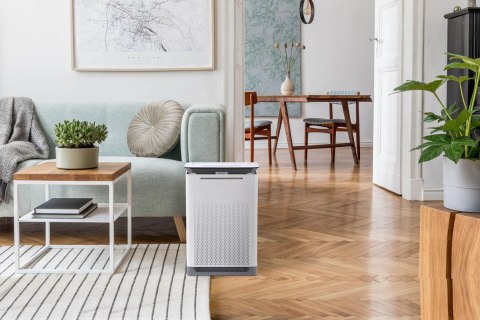 Oczyszczacz powietrza z nawilżaczem Rotenso Qube Q35W R10