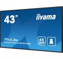 Monitor 42.5 cala ProLite LH4375UHS-B1AG, 24/7,IPS,ANDROID.11,4K,500cd/m2,WiFi,3xHDMI,DP,Daisy/Chain,2xUSB,2x10W,RJ45,iiSignage2 Monitor 42.5 cala ProLite LH4375UHS-B1AG, 24/7,IPS,ANDROID.11,4K,500cd/m2,WiFi,3xHDMI,DP,Daisy/Chain,2xUSB,2x10W,RJ45,iiSignage2