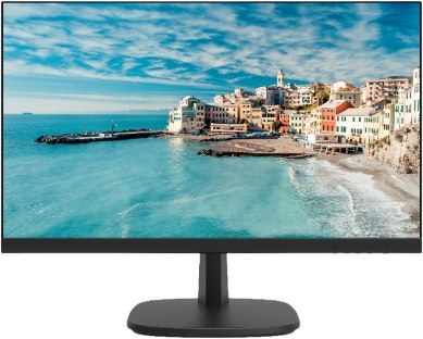 Monitor DS-D5024FN HIKVISION Monitor DS-D5024FN HIKVISION