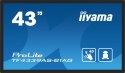 Monitor 43 cale TF4339AS-B1AG,IPS,4K,HDMIx2,DP,RJ45,3xUSB,40pkt, ANDROID,24/7 Monitor 43 cale TF4339AS-B1AG,IPS,4K,HDMIx2,DP,RJ45,3xUSB,40pkt, ANDROID,24/7
