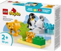 Klocki DUPLO 10442 Rodziny dzikich zwierząt: pingwiny i lwy Klocki DUPLO 10442 Rodziny dzikich zwierząt: pingwiny i lwy