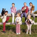 Koń na kiju Hobby Horse HOPPIHORSE A3 Bay - ciemny brąz, maść gniada Koń na kiju Hobby Horse HOPPIHORSE A3 Bay - ciemny brąz, maść gniada