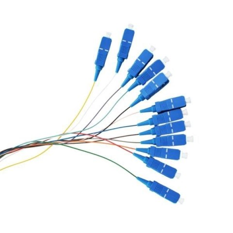 12X Pigtail SC/UPC SM 12X Pigtail SC/UPC SM