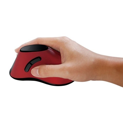 Ergonomiczna mysz pionowa USB 2.4GHz Ergonomiczna mysz pionowa USB 2.4GHz