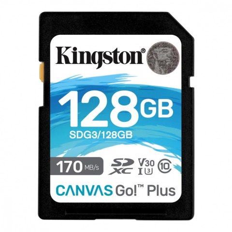 Karta pamięci SD 128GB Canvas Go Plus 170/90MB/s CL10 U3 V30 Karta pamięci SD 128GB Canvas Go Plus 170/90MB/s CL10 U3 V30