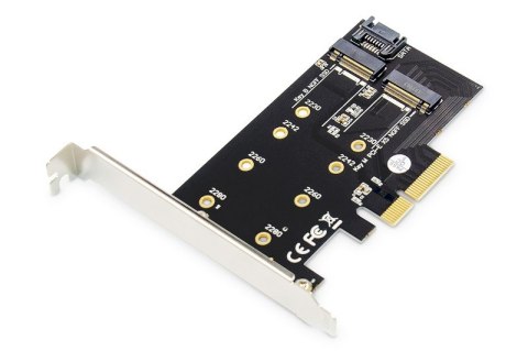 Karta rozszerzeń (Kontroler) M.2 NGFF/NVMe SSD PCIe 3.0 x4 SATA 80, 60, 42, 30 mm Karta rozszerzeń (Kontroler) M.2 NGFF/NVMe SSD PCIe 3.0 x4 SATA 80, 60, 42, 30 mm